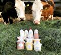 Kefir